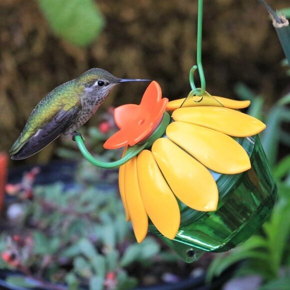 Single Flower Hummingbird Feeder Red Yellow 2 Pack - Picture 4 of 10